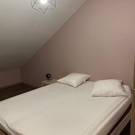 Appartement 14 Couchages Vallee Du Gresivaudan La Buissiere  المظهر الخارجي الصورة