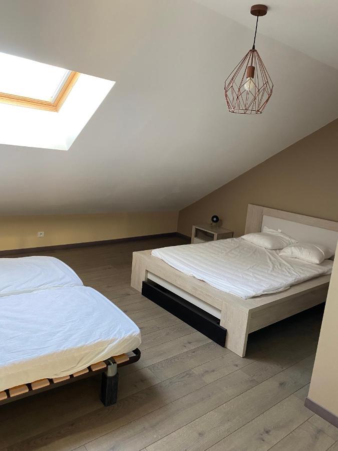 Appartement 14 Couchages Vallee Du Gresivaudan La Buissiere  المظهر الخارجي الصورة